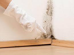 Best Real Estate Mold Inspection in Locust Valley, NY